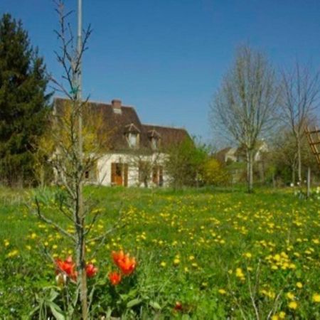 Vézannes Chambres D'Hotes Les Pierries المظهر الخارجي الصورة